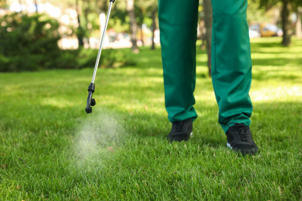 Best Pest Control Near Me  in Roma, TX