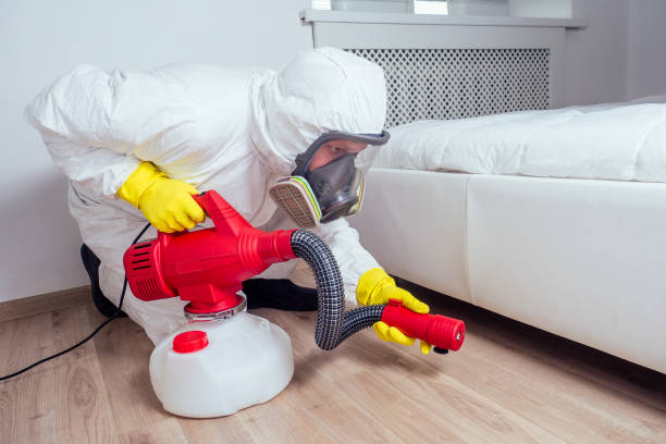 Best Residential Pest Control  in Roma, TX