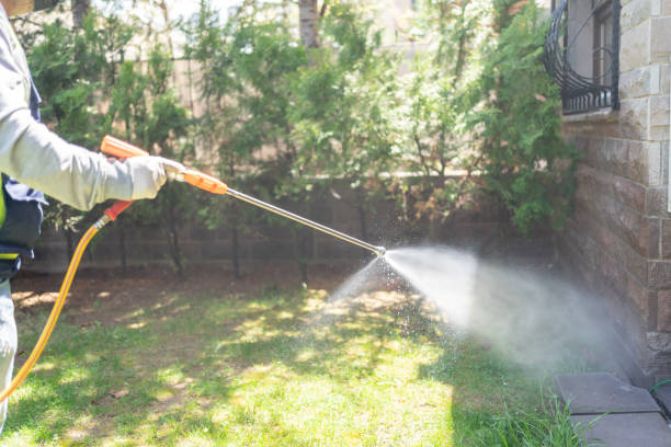 Best Insect Control  in Roma, TX